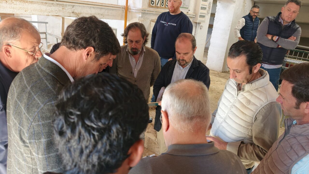 De Profeta a Correoso, los toros de Juan Pedro Domecq para el duelo Ureña -Roca Rey en Lorca