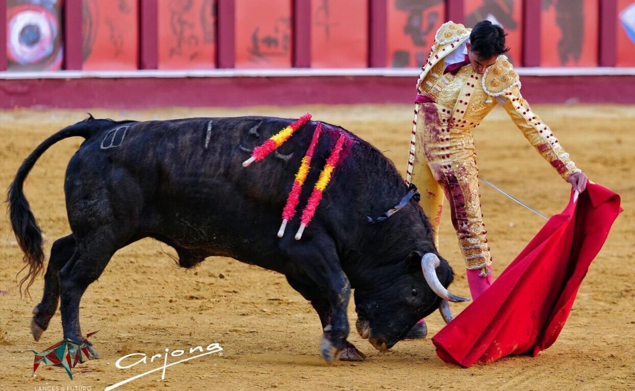 Fortes brilla al natural en una desdibujada Picassiana
