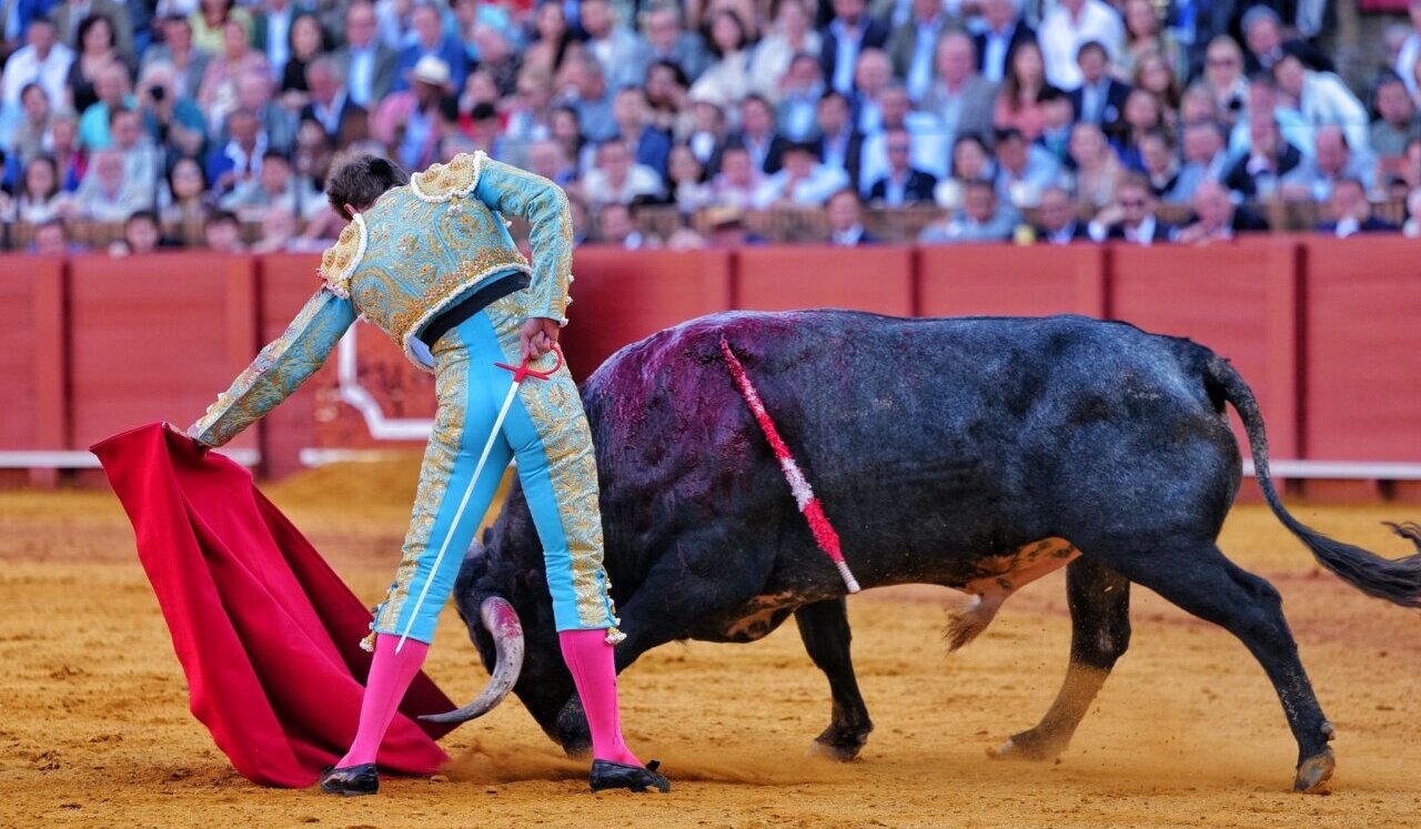 Román marra con la espada una notable faena a un buen miura en Sevilla
