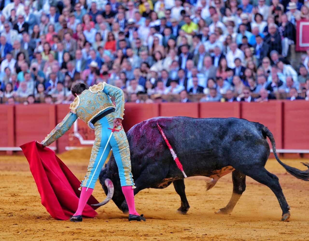 Román marra con la espada una notable faena a un buen miura en Sevilla