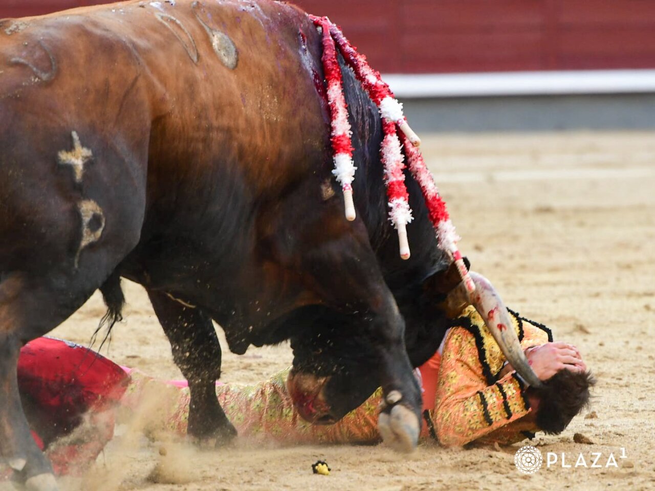 Luis Gerpe, a la enfermería tras ser cogido en Las Ventas