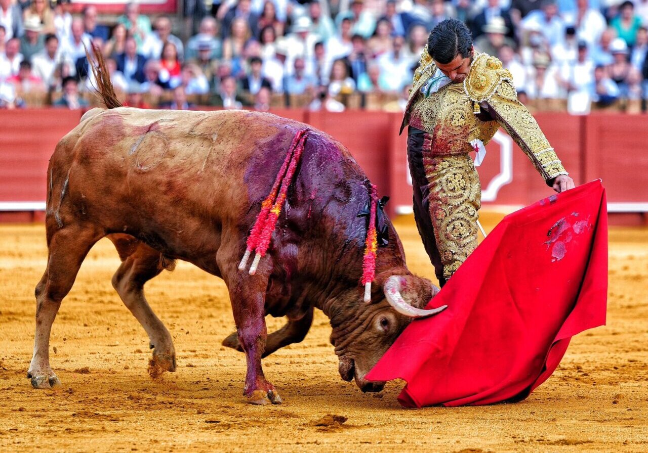 Morante de la Puebla: "Hoy ha sido un día de esos de ensueño"