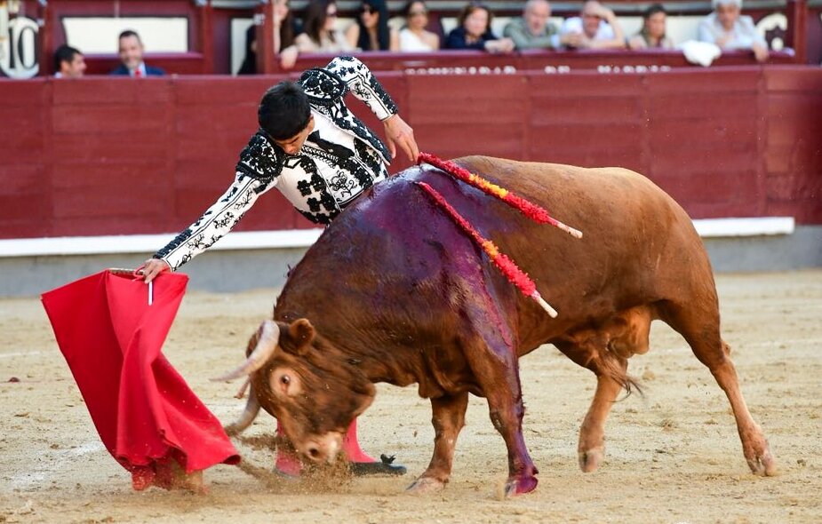 Ovación para la terna en novillada de Palla con opciones en Las Ventas