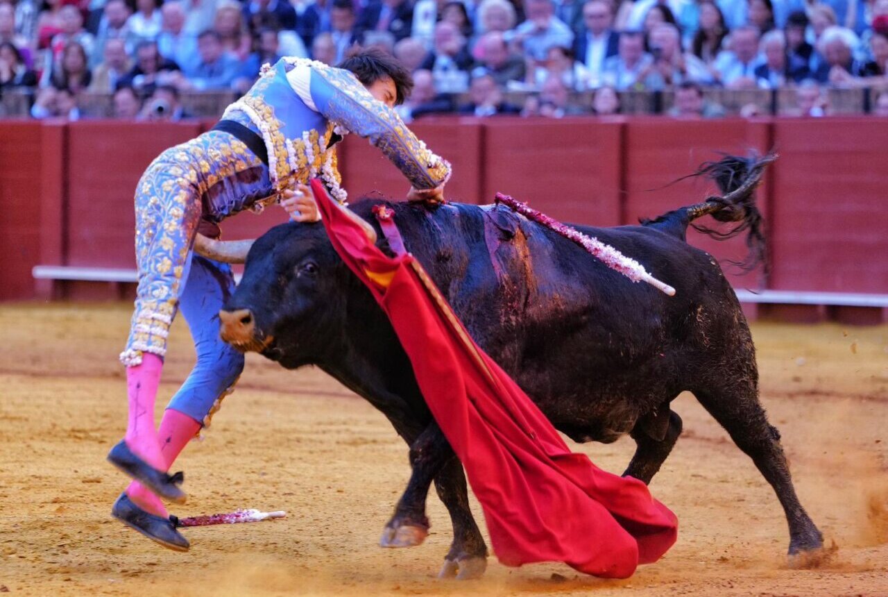 Roca Rey, baja en Valladolid, continúa centrado en acortar los plazos de recuperación tras la cornada de Sevilla