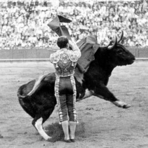La torería de Pepín Martín Vázquez en Sevilla. Foto: Arjona