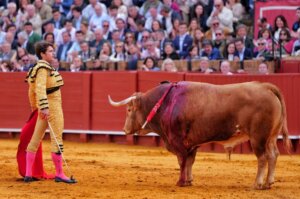 Aventado, de Alcurrucén, precioso por fuera y extraordinario por dentro. Foto: Arjona