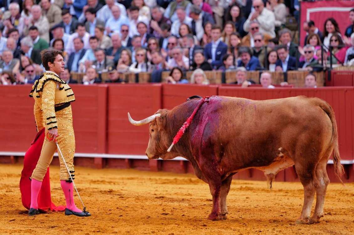 El toro de Sevilla como ejemplo