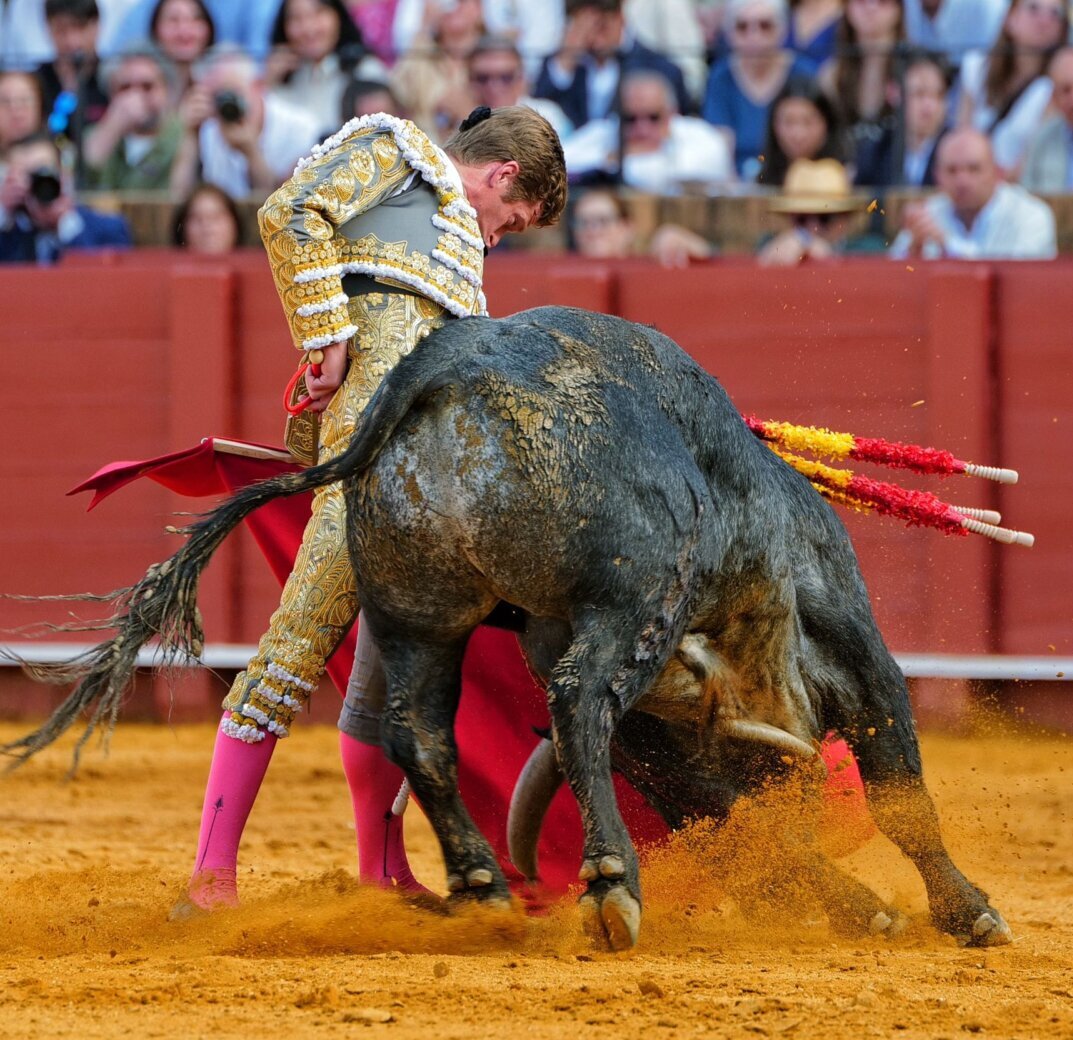 La profundidad del toreo de Borja Jiménez, en el objetivo de Arjona