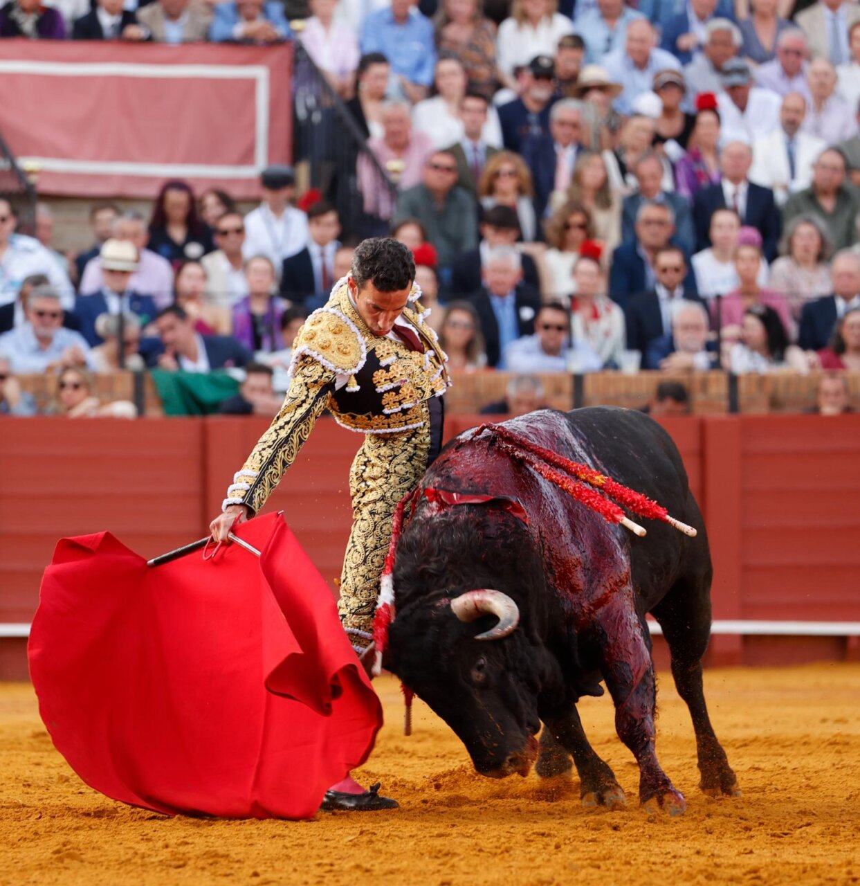 David de Miranda: "Con un toro embistiendo así era un arma de doble filo en una plaza como Sevilla, pero gracias a Dios lo he aprovechado"