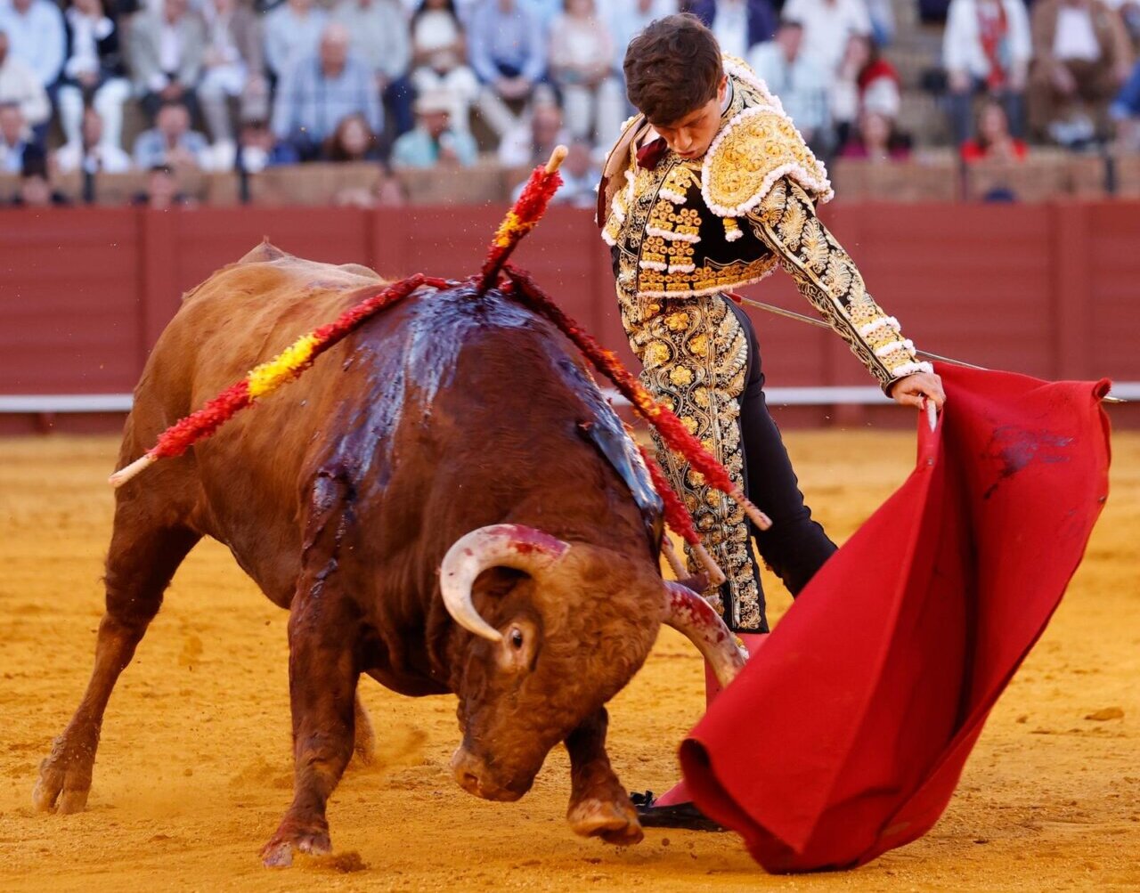 Cumbre de Aarón Palacio y buen toreo de la terna con la bravura de Santiago Domecq