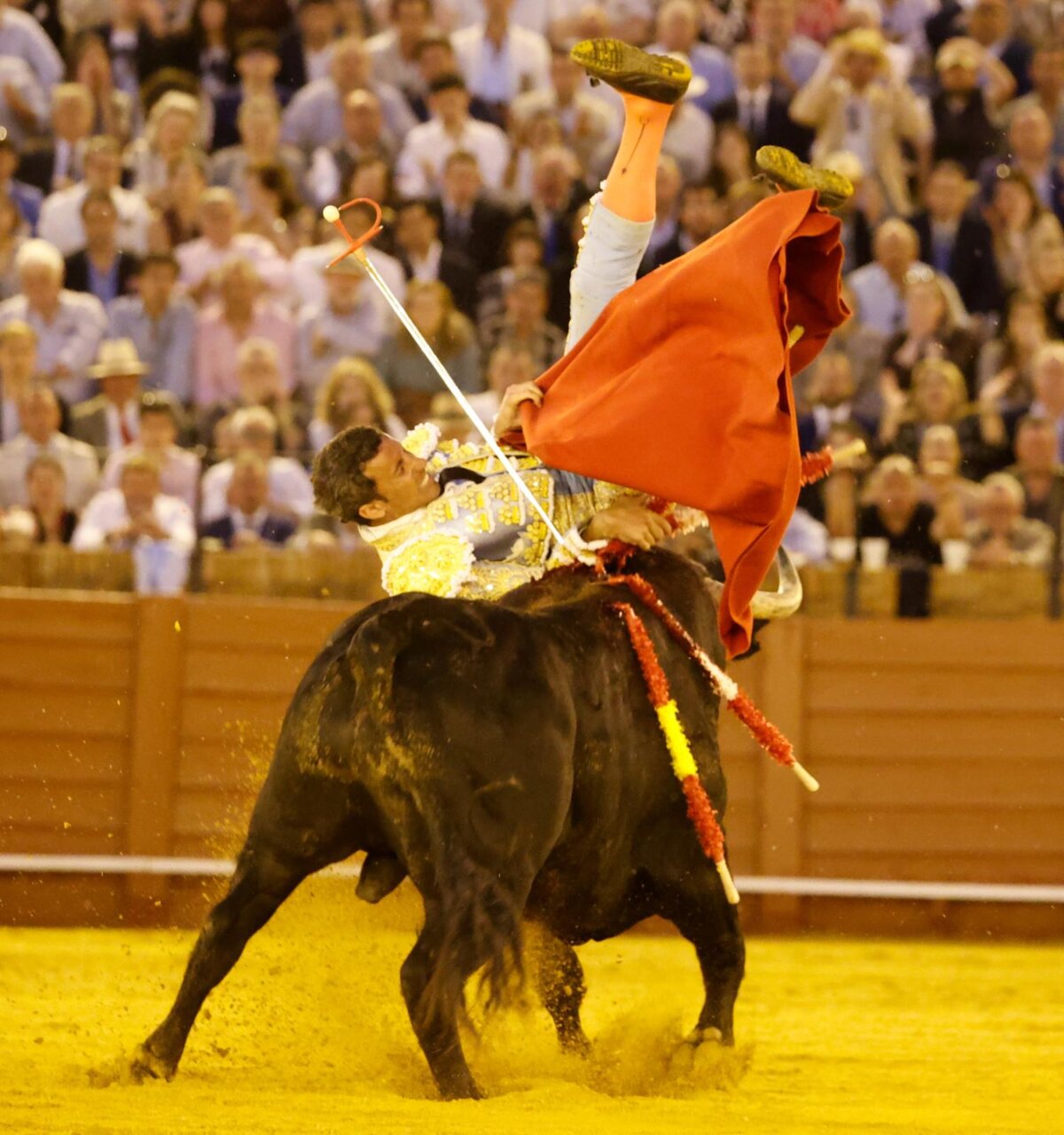 Violenta cogida a David de Miranda por estatuarios