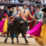 Foto: Alfredo Arévalo / Plaza 1