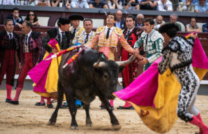 Foto: Alfredo Arévalo / Plaza 1
