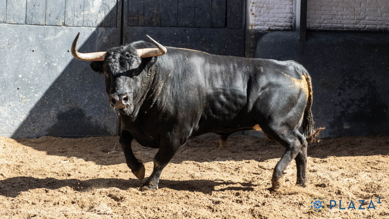 Seis alcurrucenes para esta tarde en Las Ventas