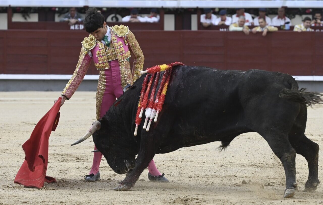 Interesante novillada de Couto de Fornilhos para cerrar el ciclo de la Comunidad en Madrid