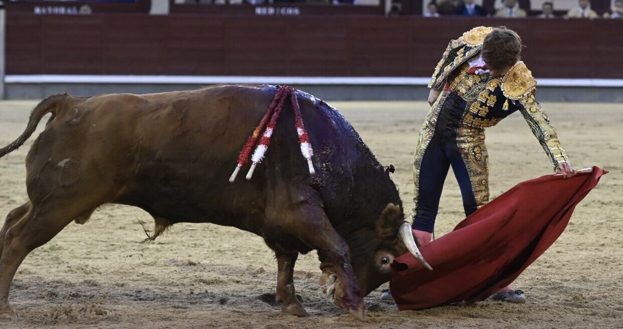 La primera novillada de San Isidro, en imágenes