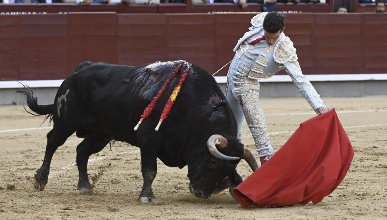 Fernando Adrián, a las puertas de un nuevo triunfo con un bravo fuenteymbro en Madrid