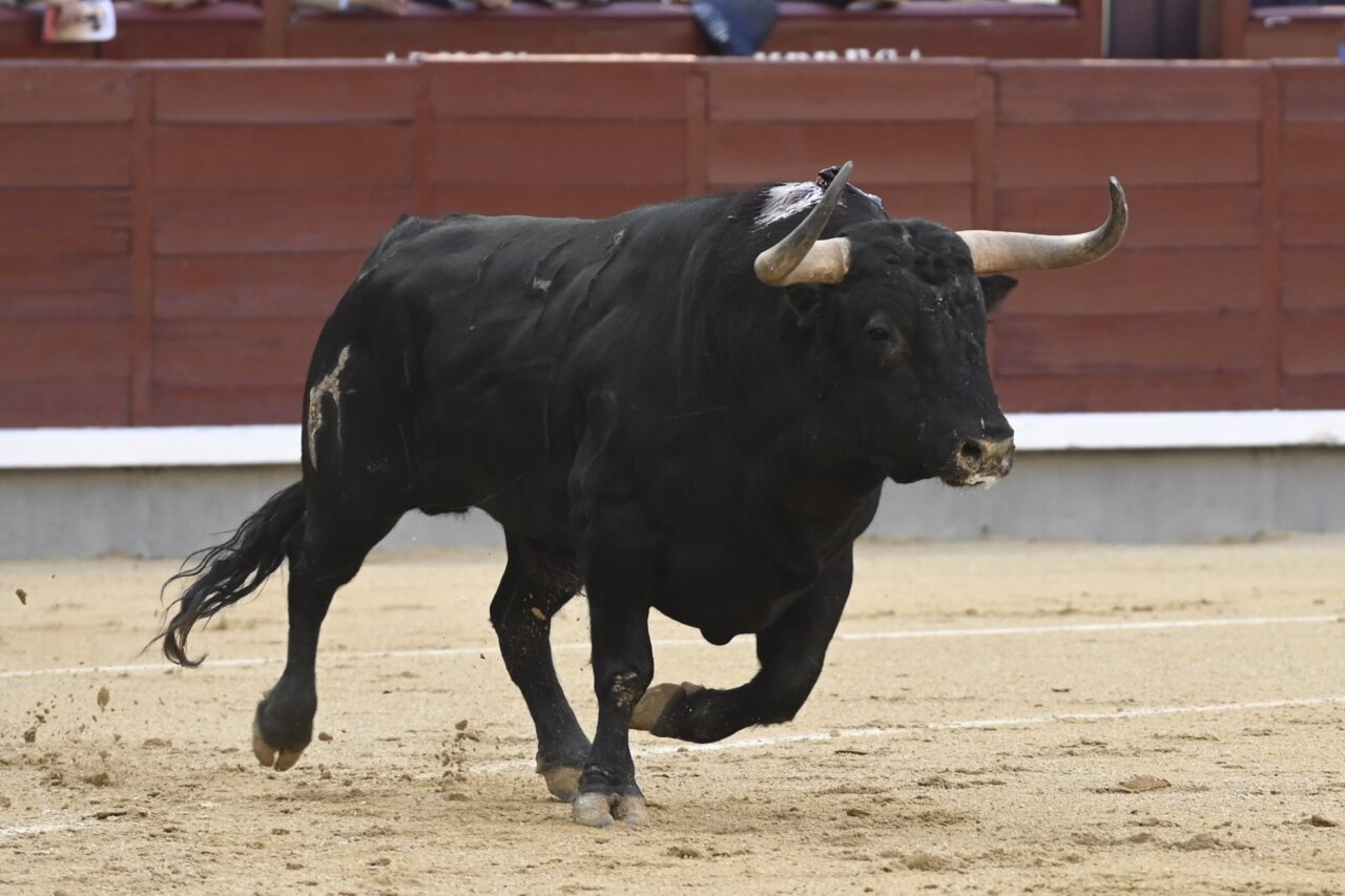 Fuente Ymbro vuelve a sacar nota en San Isidro