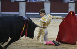 Foto: Javier Arroyo