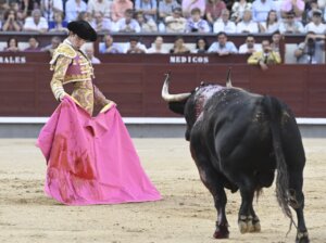Foto: Javier Arroyo