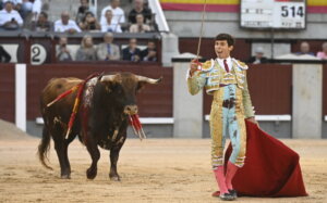 Foto: Javier Arroyo