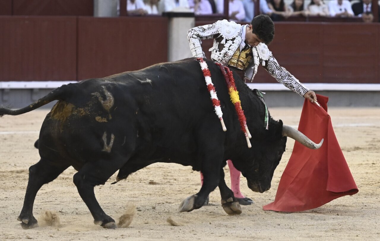 El gusto de Jarocho destaca en la de Pedraza