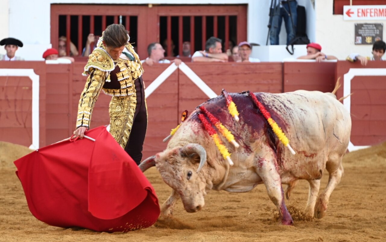 Voluntad de Lamelas, Gerpe y Solera frente a una apagada corrida de Prieto de la Cal en Vic-Fezensac