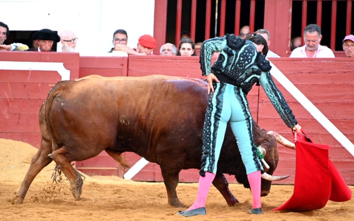 Morenito de Aranda y José Garrido, más toreo que premios en Vic-Fezensac