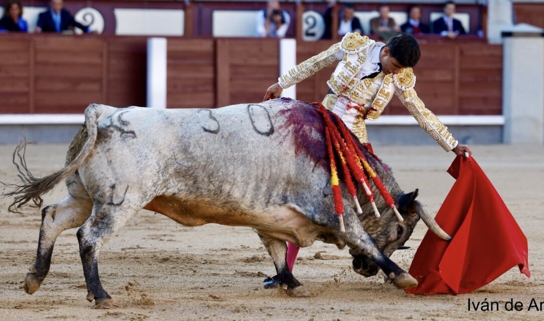 Meritoria confirmación de Manuel Diosleguarde