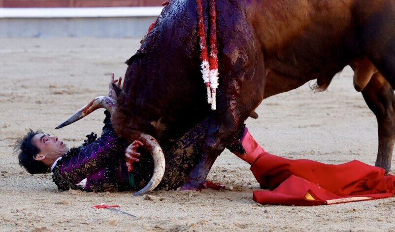 Dos cogidas a Fortes, oreja tras ser operado de una cornada que contusiona la tibia