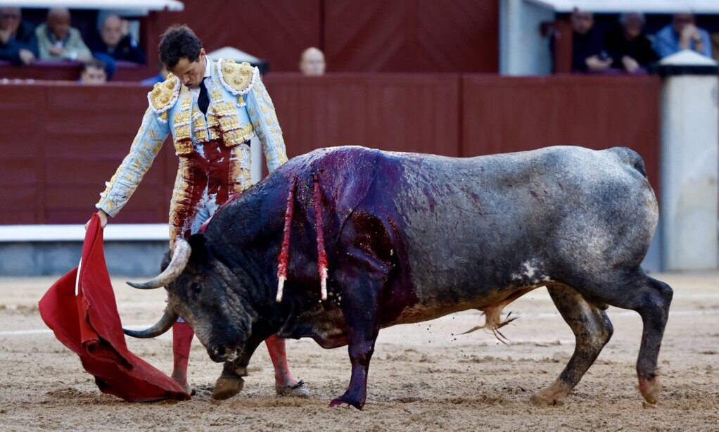 Daniel Luque: "No he tenido el eco que merecía; el quinto ha sido un toro para pasar un mal rato importante"