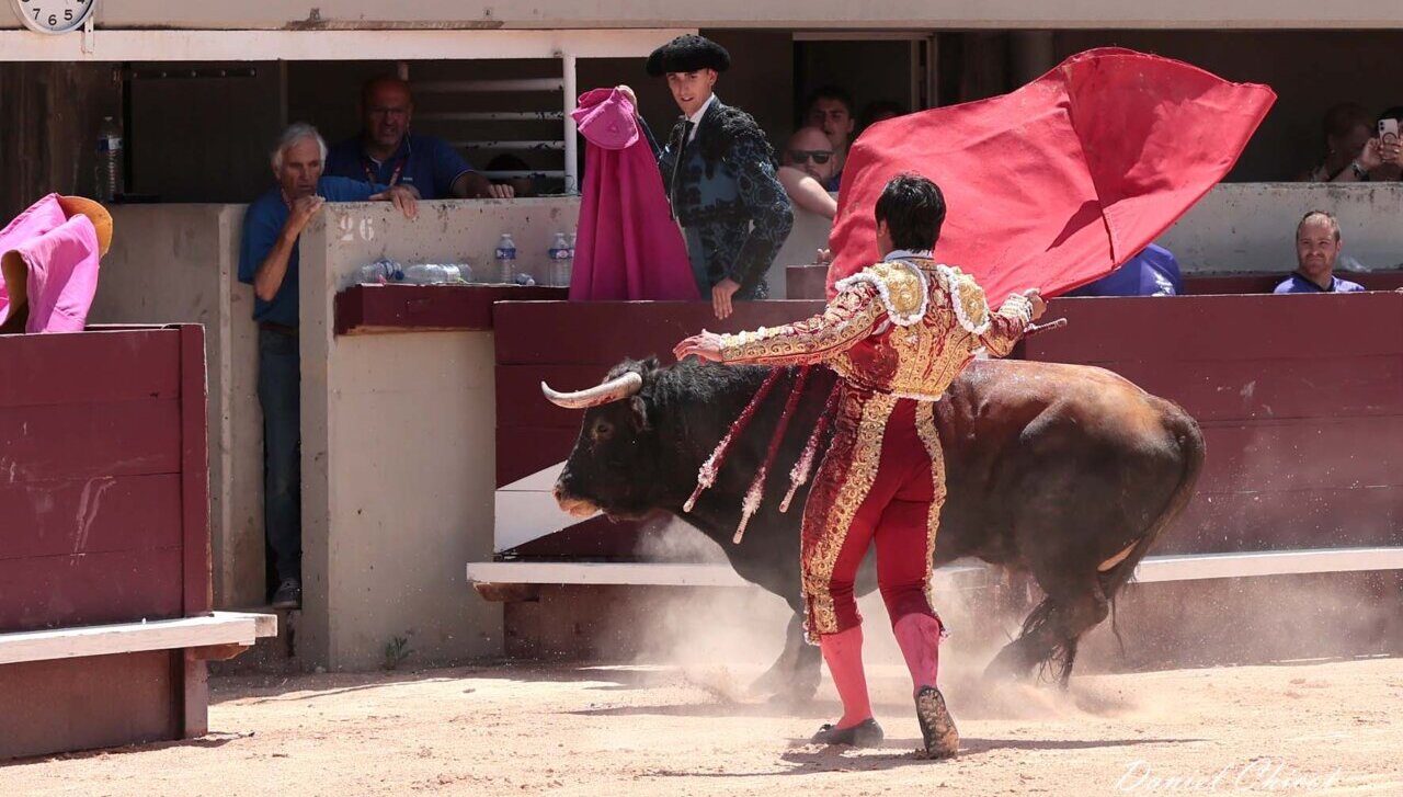 Histórico indulto de Colombo a Arlesien en una mañana emocionante