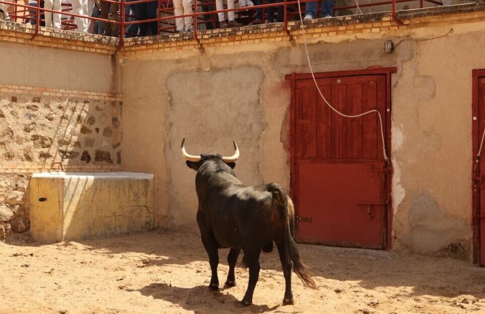Morante abre el esperado Corpus de Toledo con Bacoreta, de Zalduendo