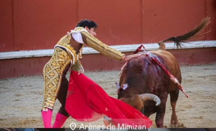 Colombo indulta al bravo Habilidoso y triunfa con Solal en Mimizan