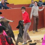 Foto: Perú Toros