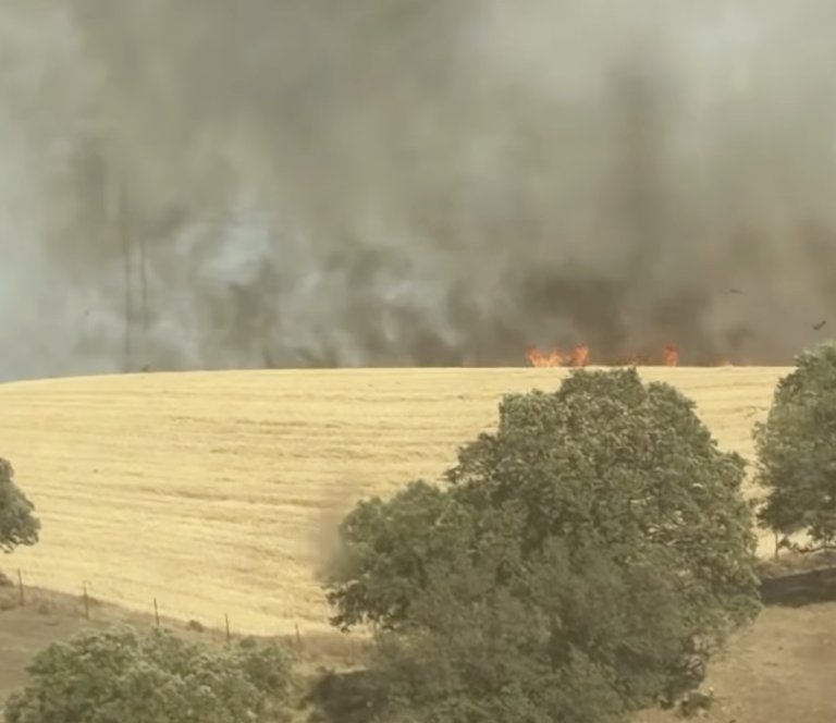 Un incendio devasta la ganadería de Macandro: "Hemos pasado muchísimo miedo, el fuego corría como la luz y podía con nosotros"