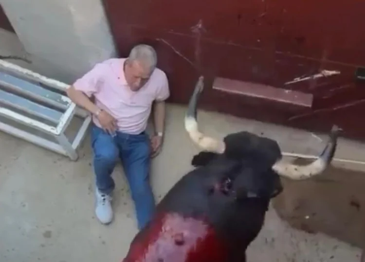 Milagro en Las Ventas: un operario, a merced de un toro en la puerta de chiqueros