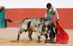 Nek Romero en una jornada campera. Foto: Aplausos