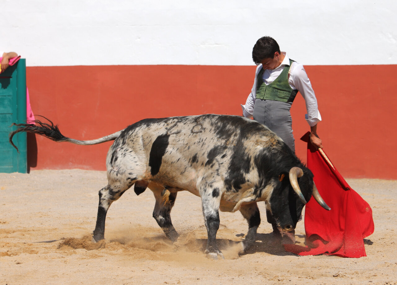 La Fira de Juliol alena (respira)