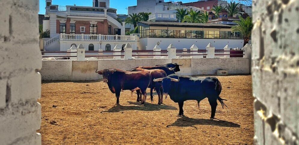 Garcigrande remendará a García Jiménez en la corrida del Corpus de Sevilla