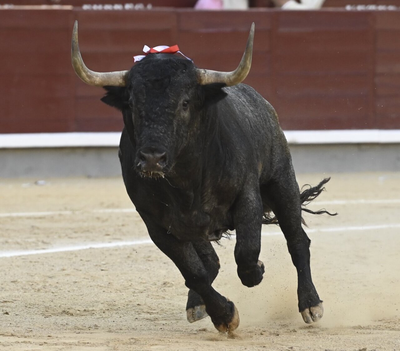 Dureza y exigencia de José Escolar: la corrida de Madrid, en imágenes