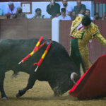 Foto: José Salvador