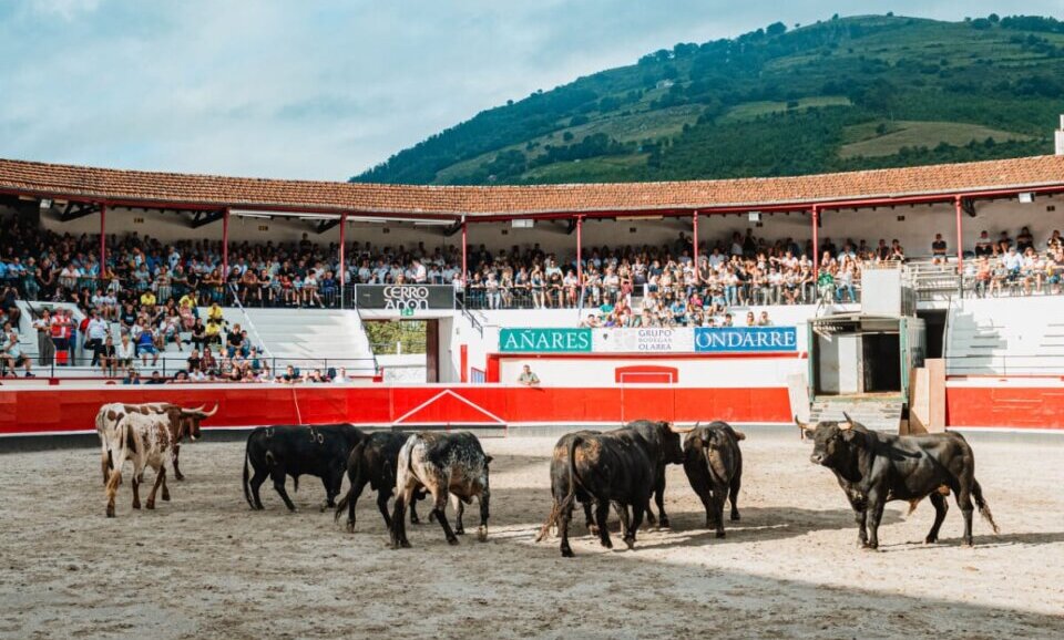 Azpeitia se queda sin desencajonada