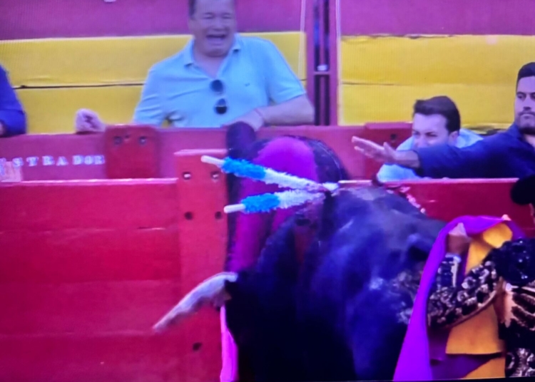 Andrés Revuelta, contusiones en rodilla, tobillo, muñeca y mano