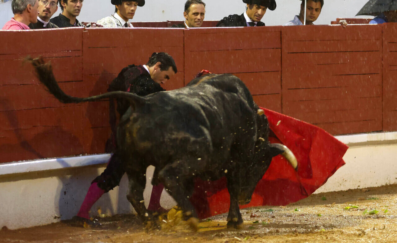 Castella y Ortega, un diluvio de toreo en Saint Sever