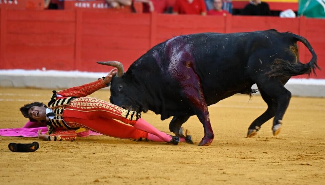 Aparatosa cogida a Castella, con la taleguilla rota tras ser prendido en Granada