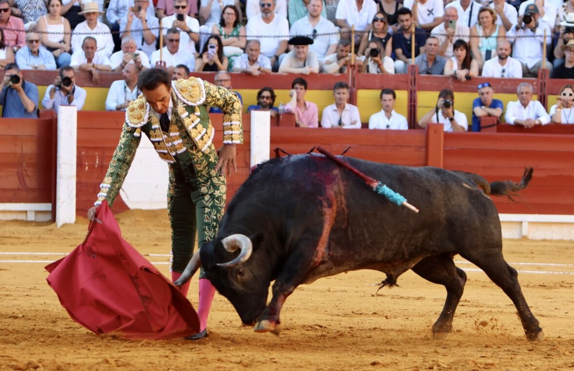 Medianejo, de Victorino Martín, el toro más bravo de la feria de Alicante para el Tauro Club