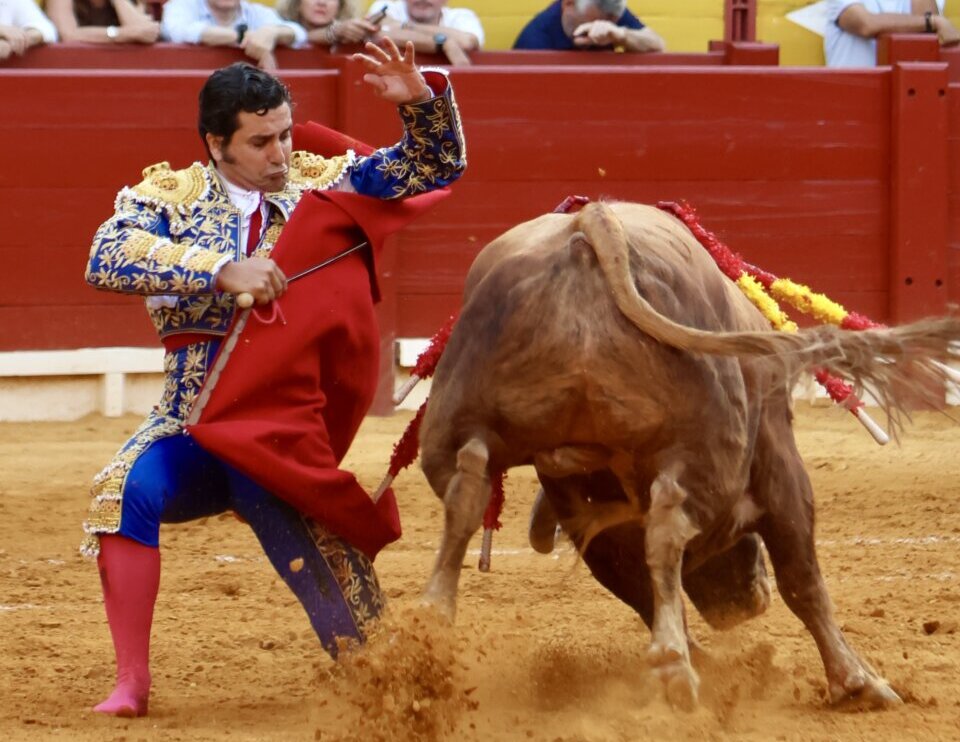 La enésima faena antológica de Morante, esta vez en Alicante