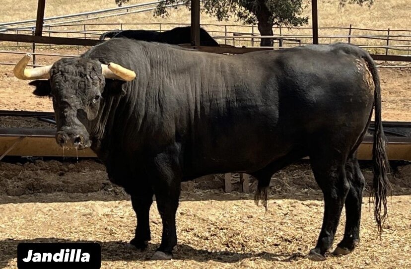 Istres se prepara para homenajear a César Rincón