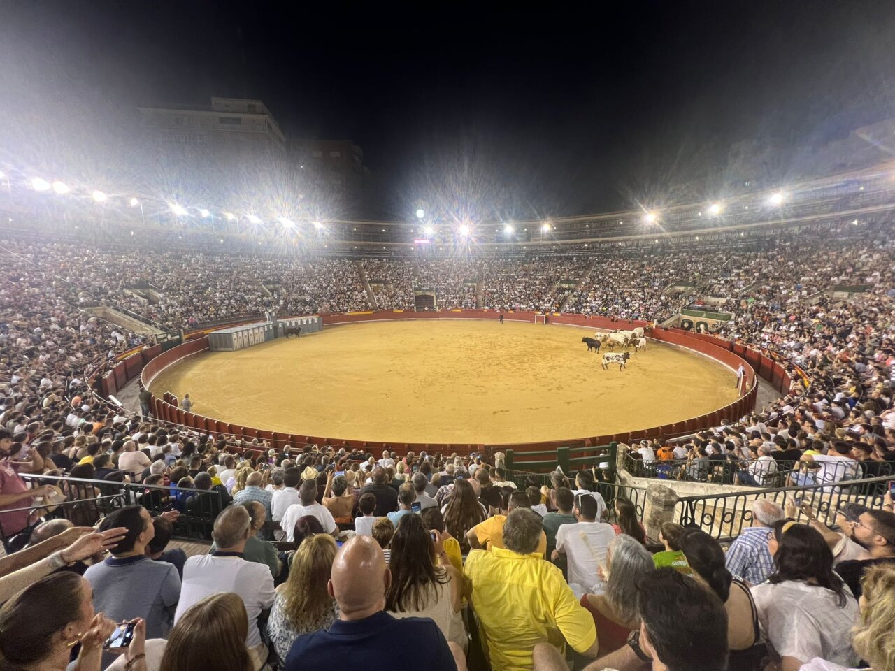 Suspendida la desencajonada de Valencia por la alerta roja